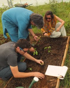 19 - planting