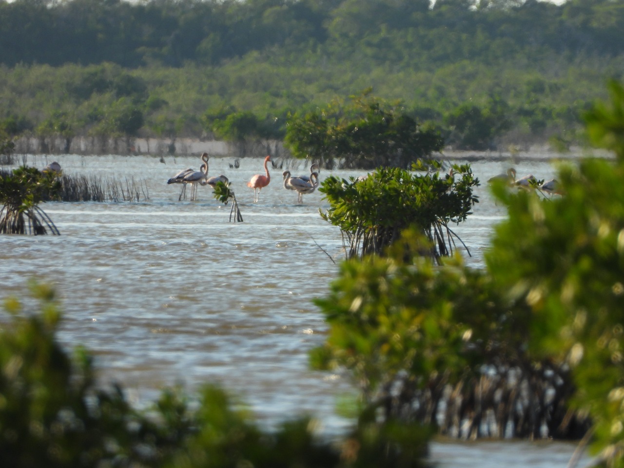 turismo Campeche