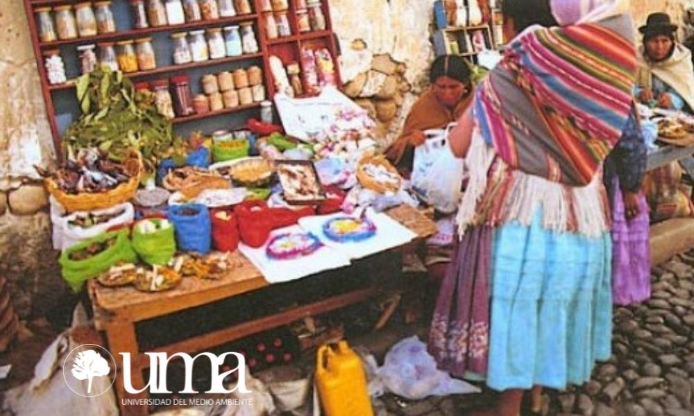 Mercado de herbolaria