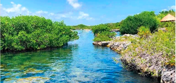 quintana roo