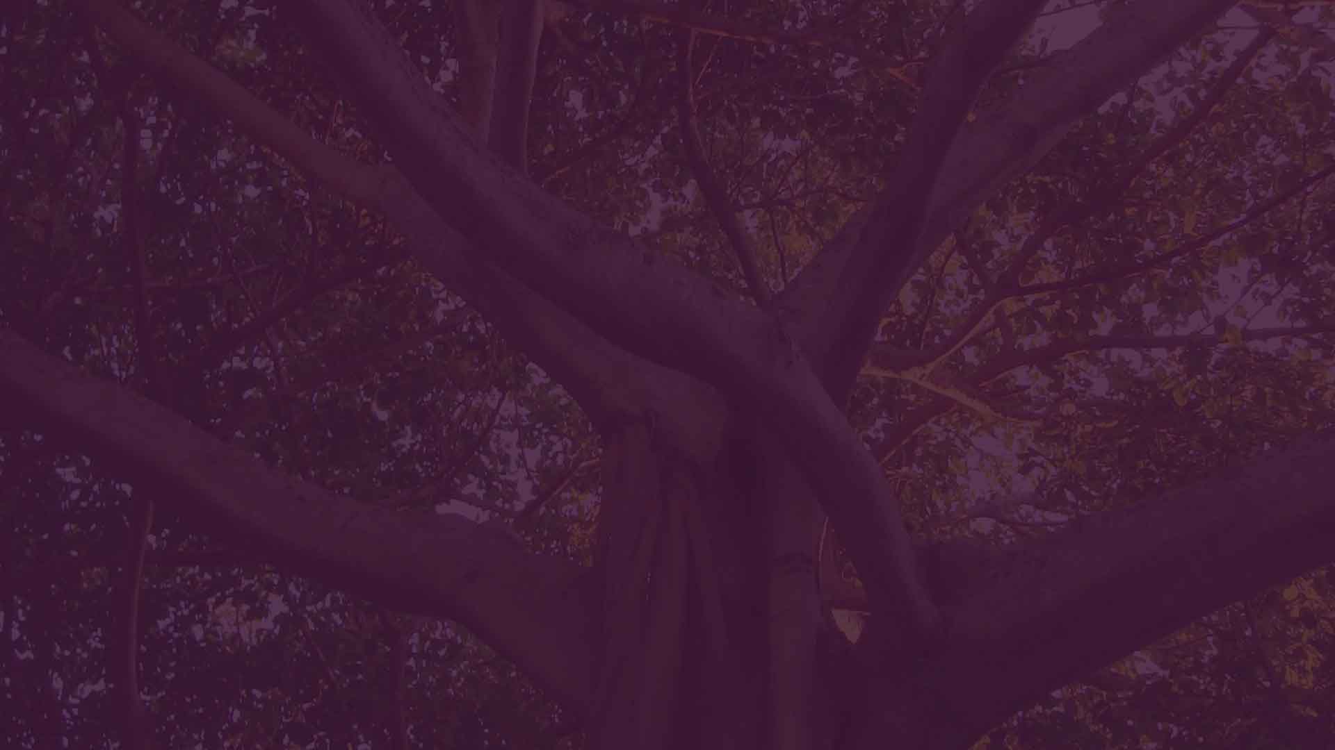 parallax background