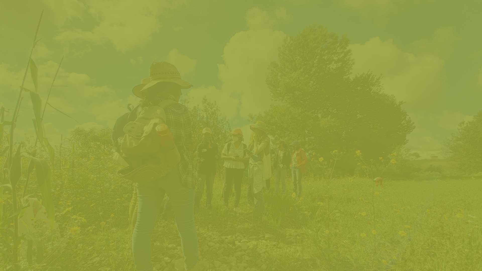 parallax background