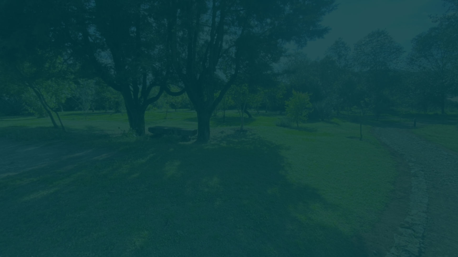 parallax background