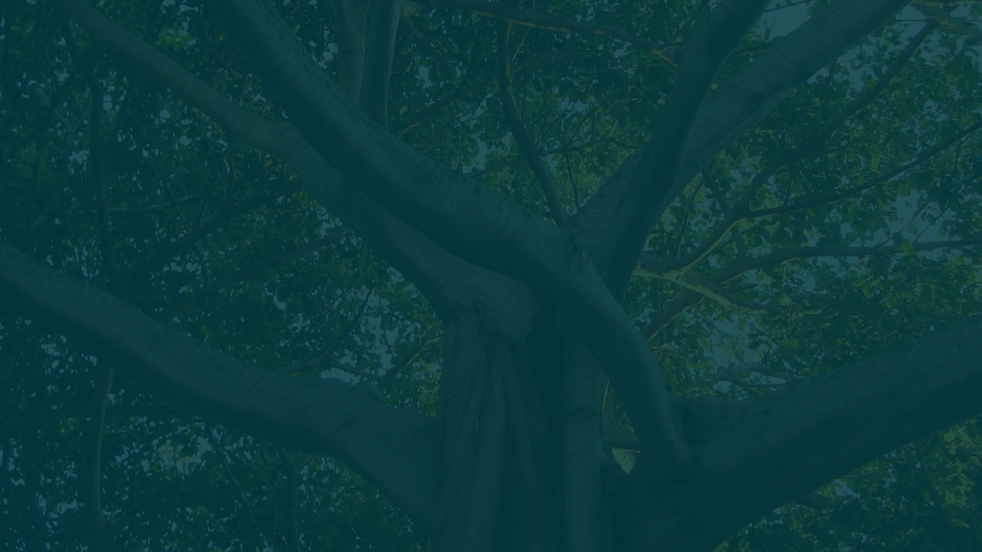 parallax background