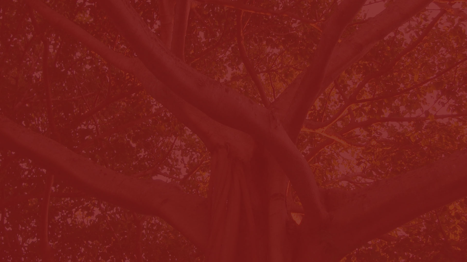 parallax background
