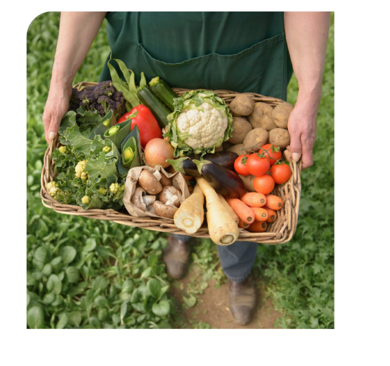 Maestría en Agroecología y Sistemas Alimentarios Regenerativos