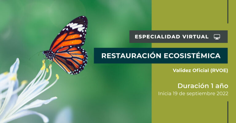 ecosistema