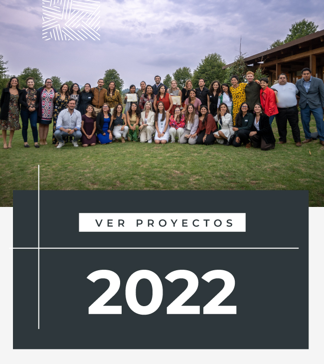 Revista por años