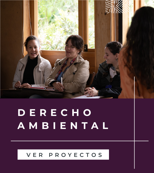 Disciplinas