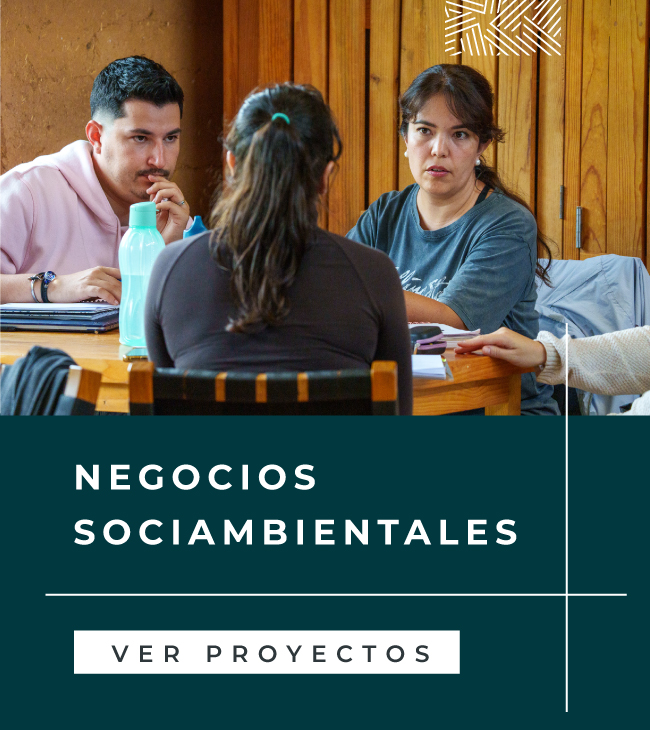 Disciplinas
