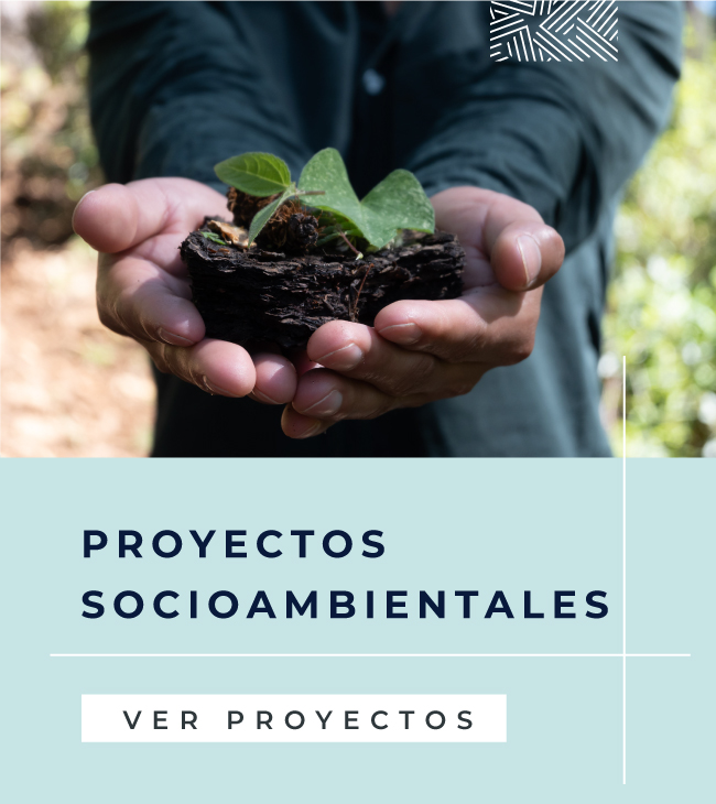 Disciplinas