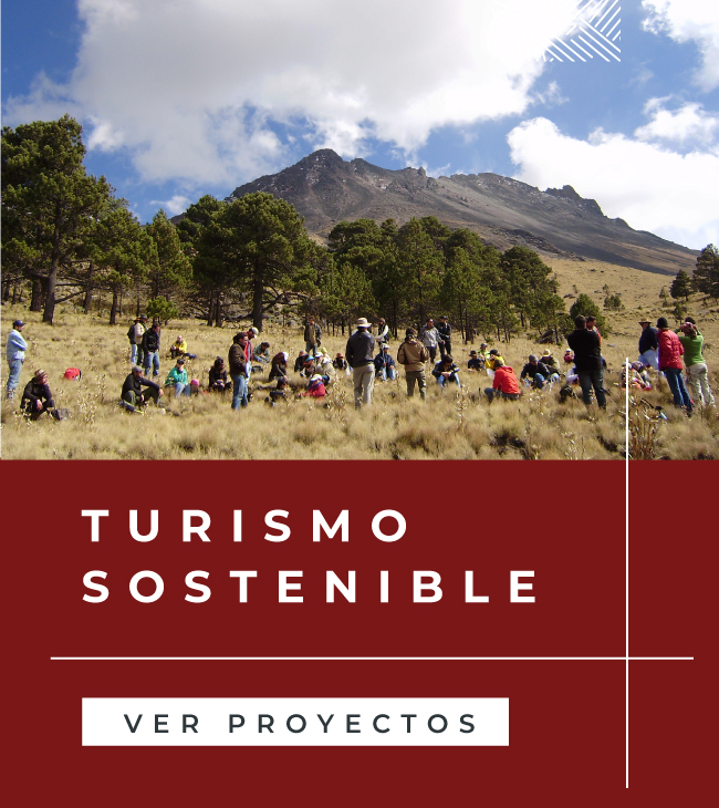 Disciplinas