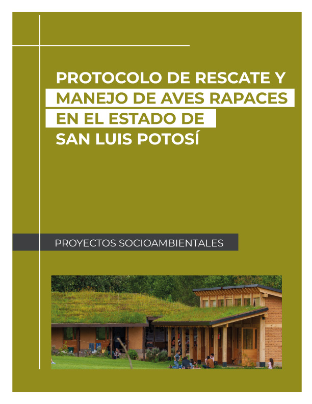 Protocolo de rescate y manejo de aves rapaces en el estado de San Luis Potosí